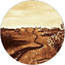 Lara Wilburn profile picture