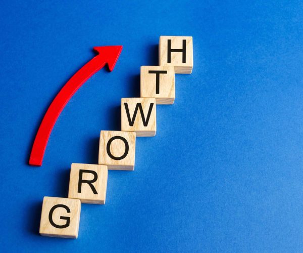 Tone Production Auburn Video Production Company help business in Auburn growth